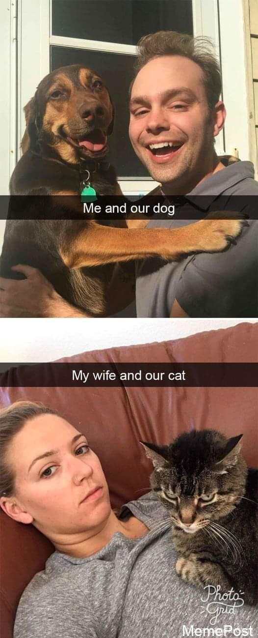 Both are Adorable: Unveiling the Cuteness of Pets and Babies, A Heartwarming Comparison!