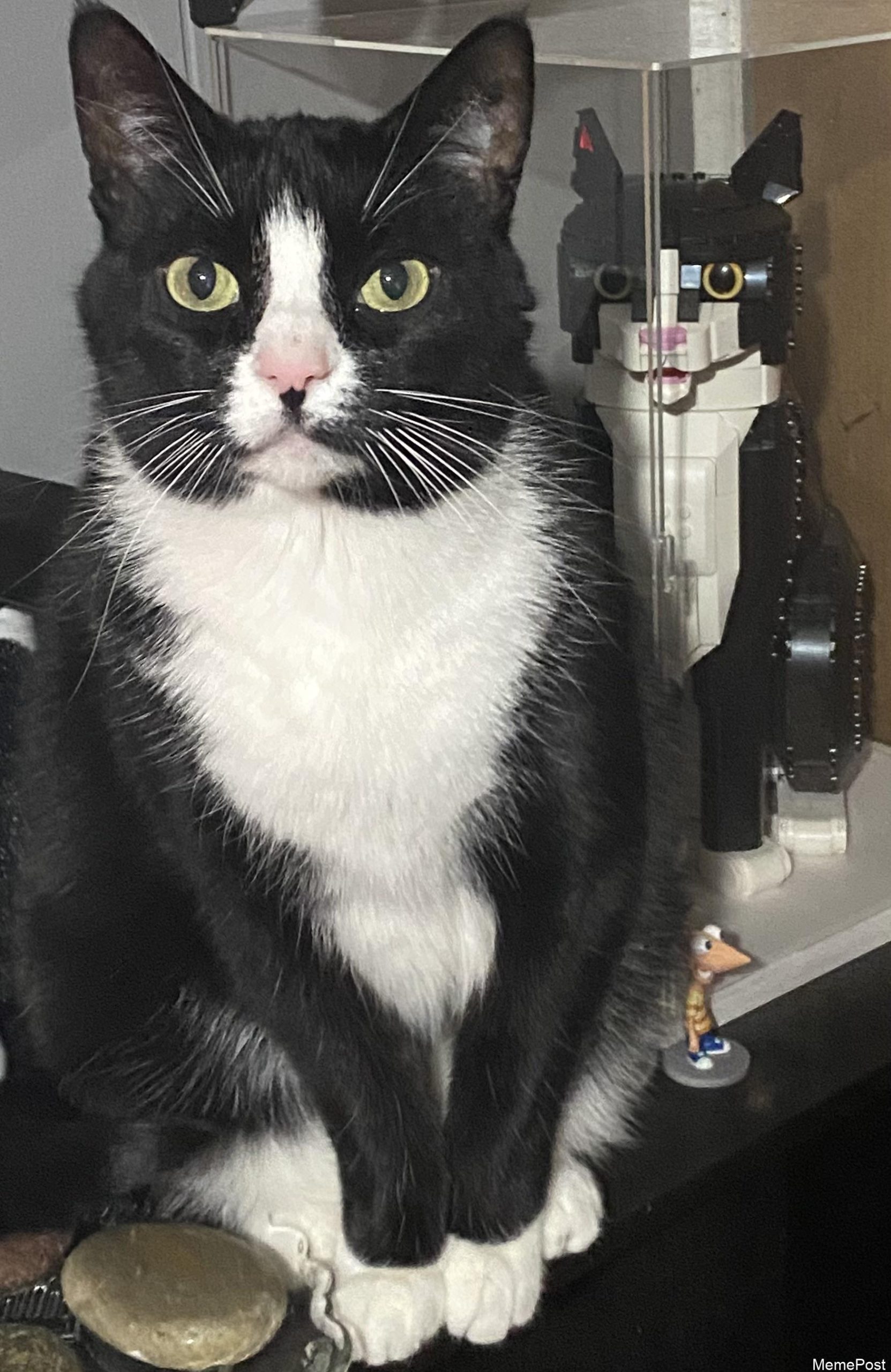 Chilling with his lego twin
