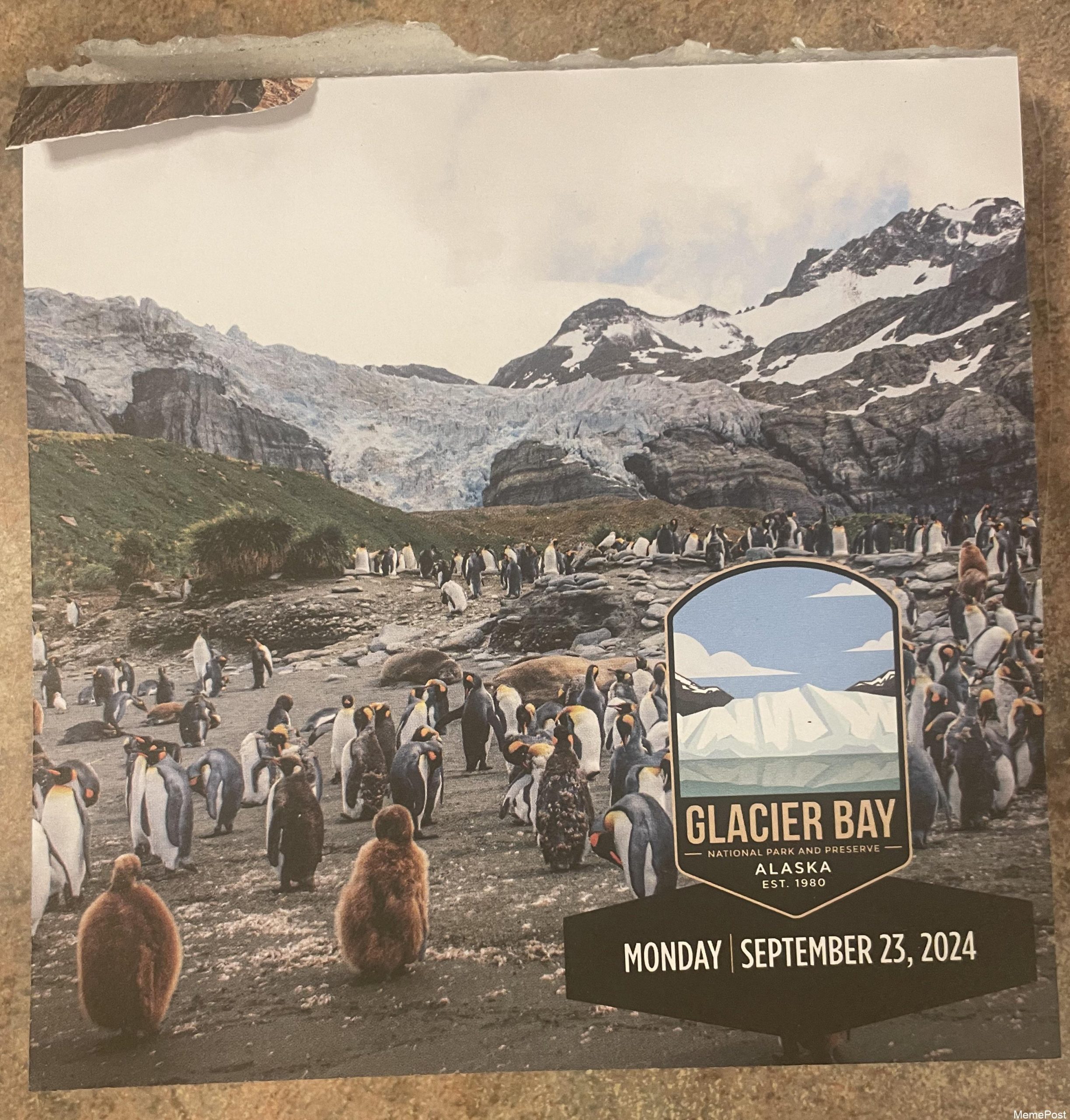 Here is a National Parks calendar my grandma got me: Why there are no penguins in the Northern Hemis