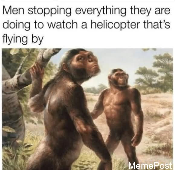 Me_irl: Everyday Struggles and Relatable Humor for Gen Z Memes and Internet Culture