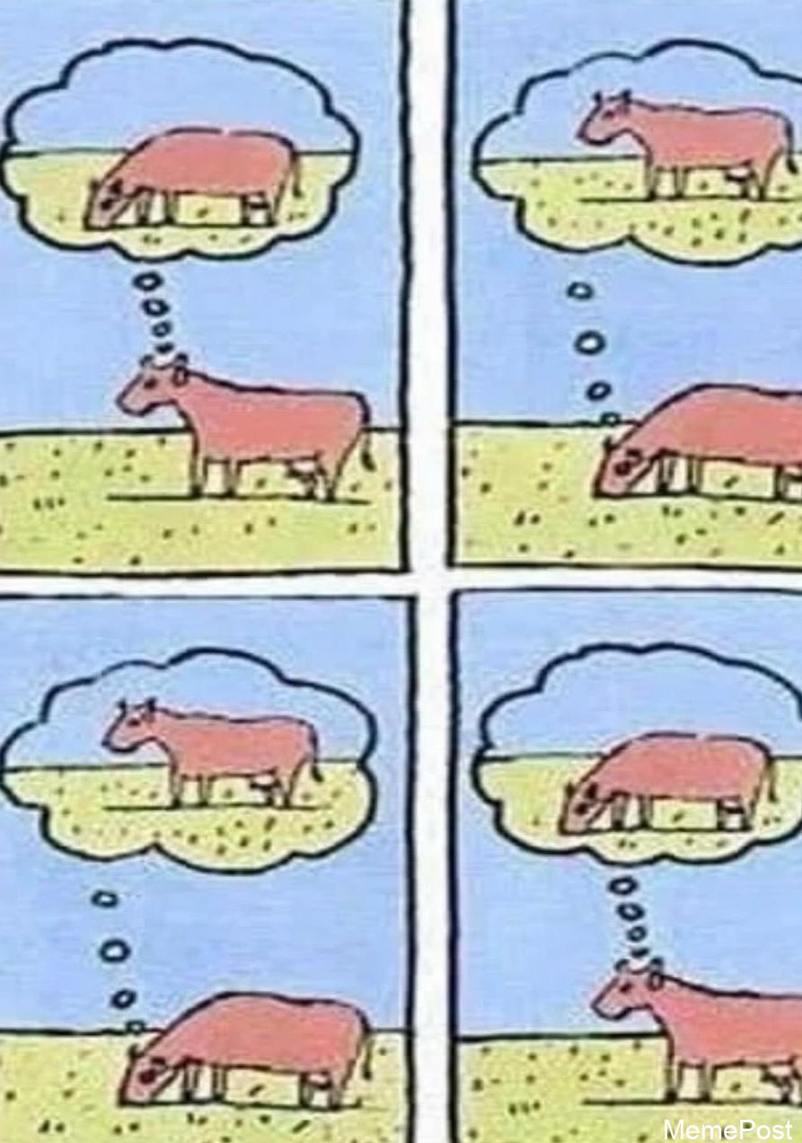 Me_irl: Relatable Memes About Everyday Life and Humorous Struggles Everyone Faces