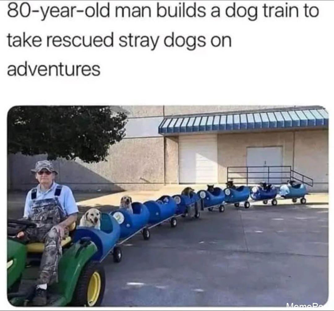 This is so cute! Adorable moments that make you smile – Heartwarming animal memes and more!