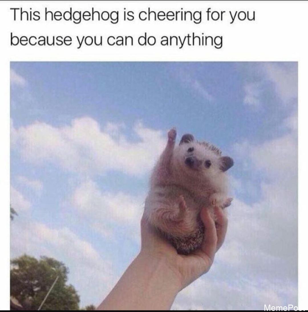You Can Do Anything: Unleash Your Potential and Achieve Your Dreams with Hard Work and Determination